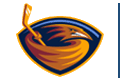 Atlanta Thrashers logo