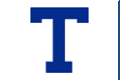 Toronto Arenas logo